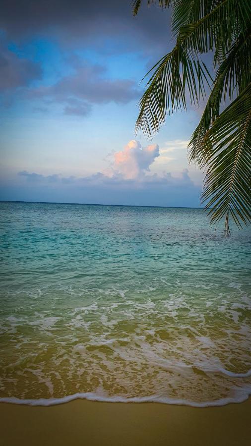 New Breeze 3* Thoddoo