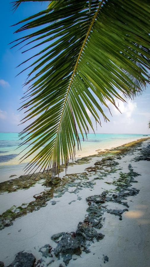 New Breeze Pensión Thoddoo