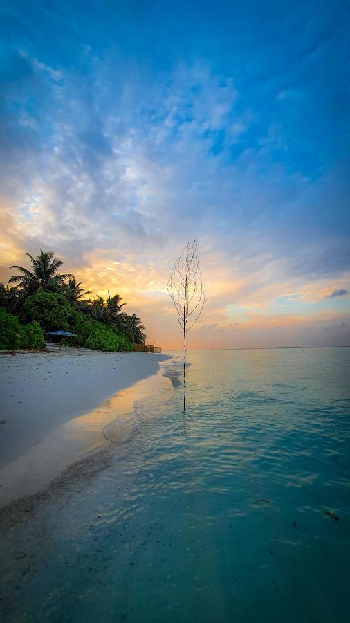 New Breeze Pensión Thoddoo