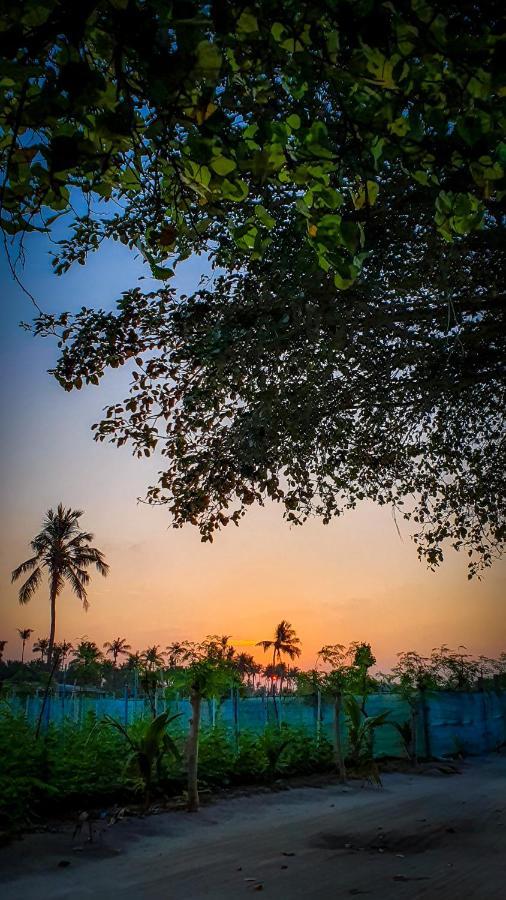 गेस्ट हाउस New Breeze Thoddoo