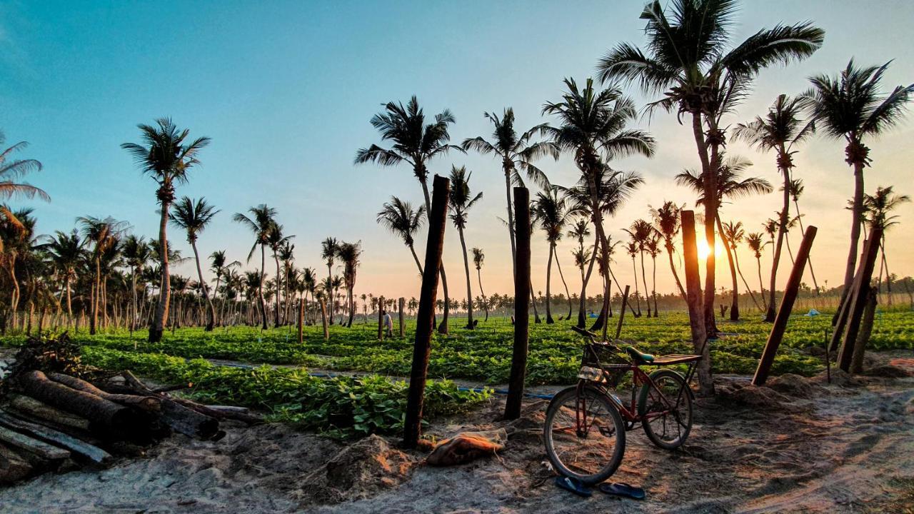 गेस्ट हाउस New Breeze Thoddoo